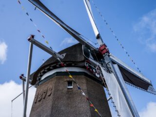 De toekomstige molenaars van Nederland