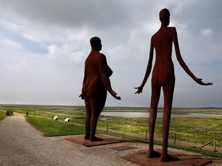 'Waddenzee mooiste natuurgebied van de wereld, maar hoe lang nog?'