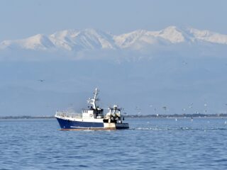 Eindelijk akkoord over bescherming oceanen: 'Cruciaal voor onze planeet'
