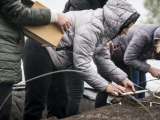 Oekraïners in Nederland veel aan het werk, andere asielzoekers niet: hoe kan dat?