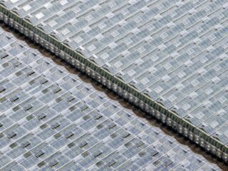 Duurzame glastuinders noodzakelijk terug aan het gas