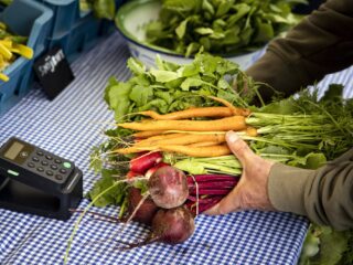 'Dat hogere prijzen aanzetten tot duurzaam gedrag is signaal aan de politiek'