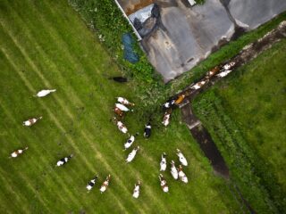 Meerdere provinciale afdelingen van het CDA en de VVD verzetten zich tegen landelijk stikstofbeleid