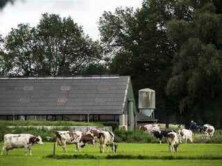 Stand.nl: 'Het kabinet moet compromisloos vasthouden aan de strenge stikstofplannen'