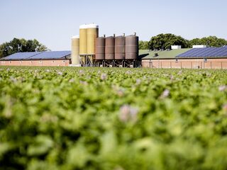 Hoe kan de EU Nederland helpen de stikstofcrisis aan te pakken?