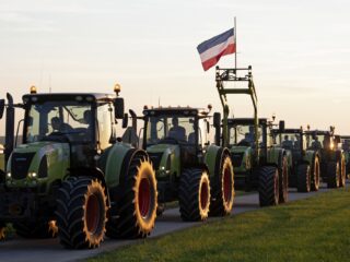 'Stikstofleugen? Wie wetenschappelijke kennis afdoet als onzin, ziet de wereld op z'n kop'
