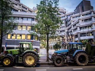 ‘Knotwilgenkapper’ Floor teleurgesteld: ‘jammer dat het niet gaat over het échte drama’