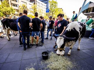 Alledaagse Vragen - Hoeveel boerderijen bestaan er nog?