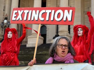 Extinction Rebellion ziet beweging hard groeien na vastlijmactie aan talkshowtafel