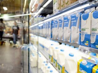 Stand.nl: 'Vliegen, vlees en zuivel moeten veel duurder worden'