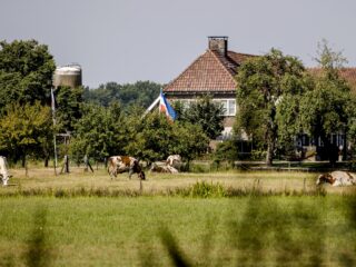 Stand.nl: 'De nieuwe minister van landbouw moet een boerenachtergrond hebben'
