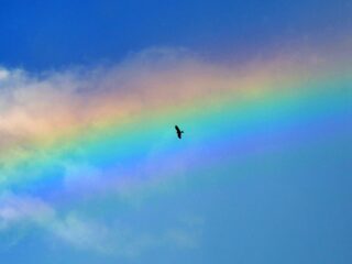 Nathan op 45-jarige leeftijd in transitie: 'Zat opgesloten in eigen lichaam'