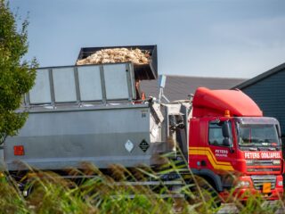 Vogelgriep bij de mens? De vraag is niet of, maar wanneer