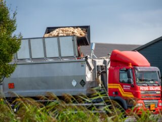 Wordt vogelgriep de nieuwe coronacrisis? En nog acht vragen over de vogelgriep