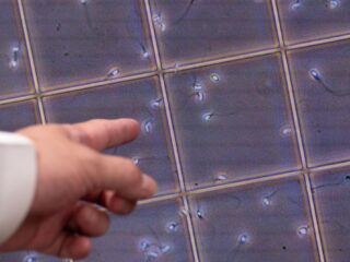 Zaaddonor verwekt tegen de regels mogelijk honderden kinderen