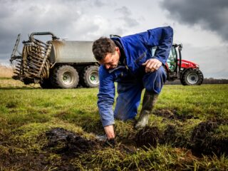 Wat de Provinciale Statenverkiezingen betekenen voor de boeren in Nederland