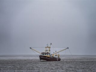 Stand.nl: 'Er is geen toekomst meer voor de Nederlandse garnalenvisserij'