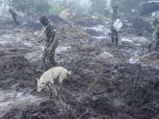 Half miljoen mensen in Malawi dakloos door orkaan Freddy