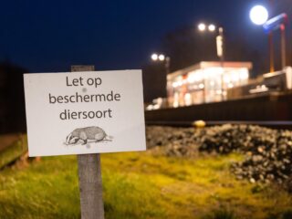 Verstoord treinverkeer: 'Dit is slecht voor het imago van de das'