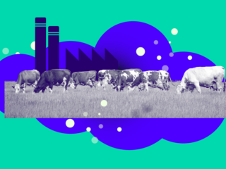 Pointer Pop-up redactie Gelderland