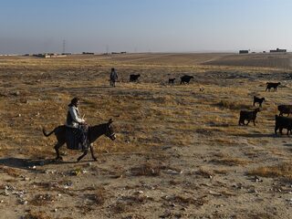 Afghanistan kampt met grote droogte: 'De situatie is uitgesproken slecht'