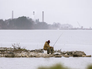 Garnalen uit Westerschelde niet veilig om te eten