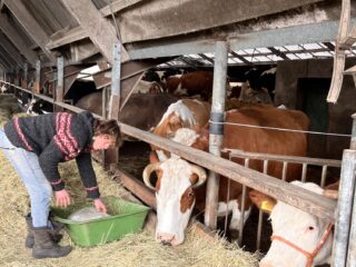 De nieuwe manier van boeren is eigenlijk heel oud