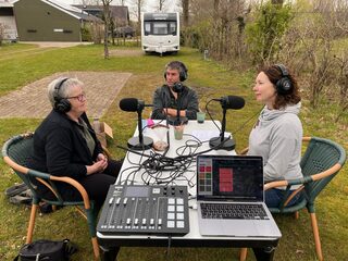 Roepende boomkikkers geven een concert