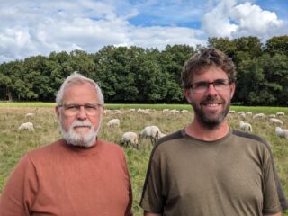 Subsidies voor weren wolf minder interessant voor grote veehouders