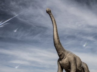 Wat de nieuw ontdekte Nadir-krater zegt over het uitsterven van de dino's