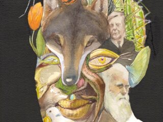 Jan Wolkers Prijs 2022 gaat naar Tijs Goldschmidt