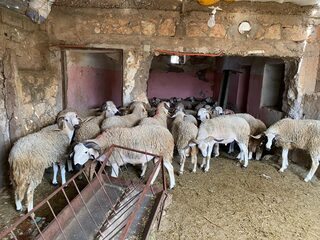 Marokko: Blaat het niet, dan schaadt het niet