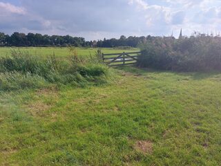 Meer natuur in kroondomein Volencampen