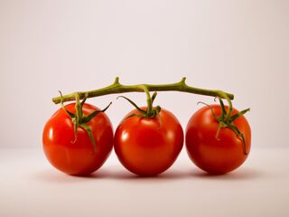 Groenten verbouwen op het balkon: wat als jouw tomatenzaad staakt?