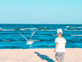 Jochem Myjer: 'We moeten de jeugdige bewondering voor de natuur weer oprakelen'