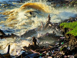 Kwelders zijn kreukelzone tegen de zeespiegstijging en hoge golven