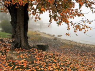 ‘Tijd is het oude achter je laten, terwijl het nieuwe alweer klaarstaat'