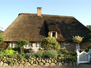 Bizar: riet uit China krijgt subsidie, riet uit Nederland niet