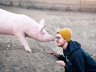 Gaat het slecht met de gezondheid van dieren? Dan óók met die van mensen