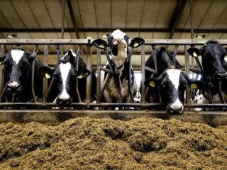 Hoe boer je anno 2023 nog goed?