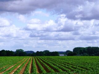 Deze onafhankelijke voedselproducenten doen het nét even anders. Van teelt tot visserij