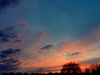 Wandelvriend Lenny heeft Elfie Tromp geleerd wat ruimte is