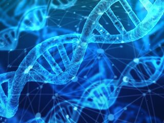 Wereldprimeur in de stamceltherapie: nieuwe behandeling voor erfelijke ziektes