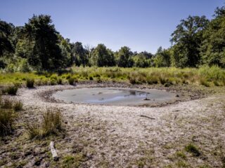 Zorgen om wateroverlast en extreme droogte: 'Wij wonen letterlijk in een badkuip'