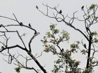 'We voeden de wereld ten koste van alle schade: het is een krankzinnig model'