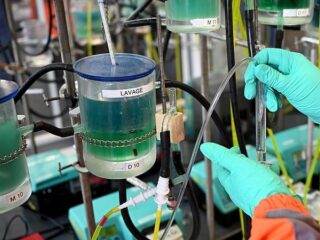 Ook in Nederland kunnen we zeldzame grondstoffen uit de bodem halen