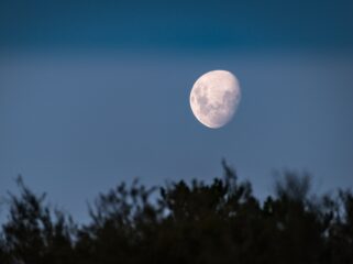 Japans bedrijf ispace gaat naar de maan: 'Er is veel geld te verdienen'