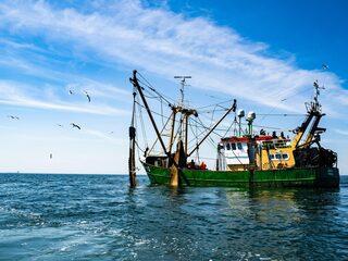 Tjeerd de Groot (D66) over pulsvisserij: 'Blamage voor Nederland'