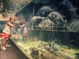 Moeten we af van de dierentuin?