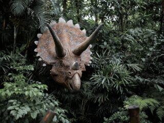 Alledaagse Vragen – Hoe weten we hoe dinosaurussen klonken?